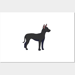 Xoloitzcuintli Posters and Art